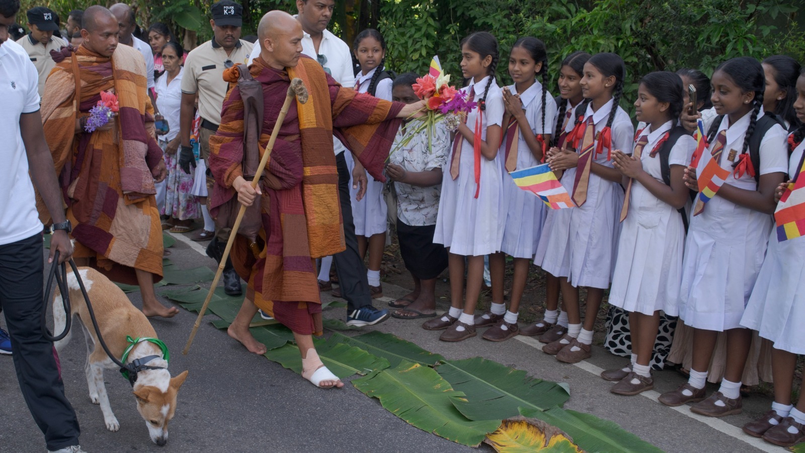 මාර්ග තදබදයෙන් “ආලෝකා” අසනීප වෙයි